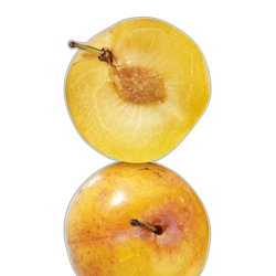 Image of Chinese Plum note